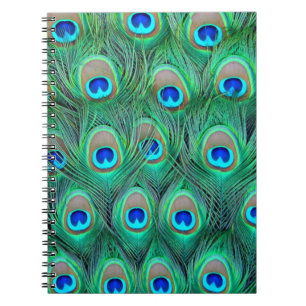 Peacock Splendor Notebook