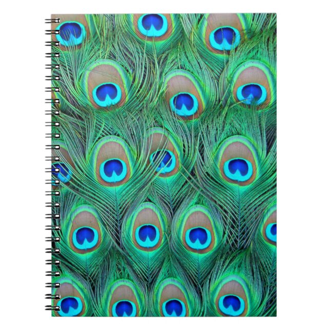 Peacock Splendor Notebook (Front)
