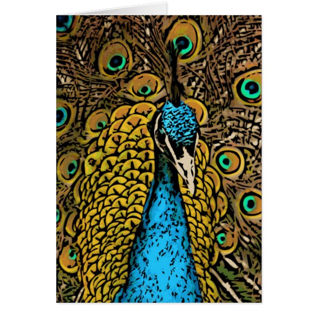 Peacock Splendour Illustration (Front)