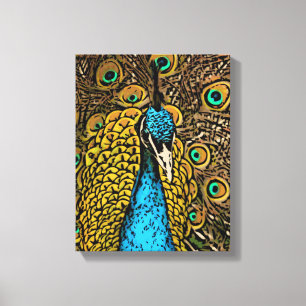 Peacock Splendour Illustration Canvas Print