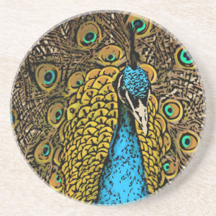 Peacock Splendour Illustration Coaster