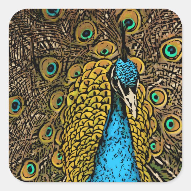 Peacock Splendour Illustration Square Sticker (Front)