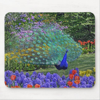 Peacock Spring Fowers 2 Mouse Mat