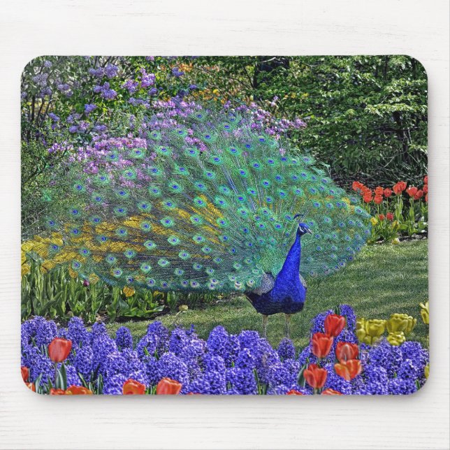 Peacock Spring Fowers 2 Mouse Mat (Front)