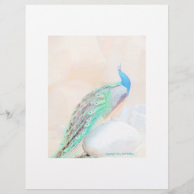 Peacock stationary (Front)