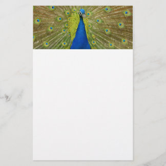 Peacock Stationary Stationery