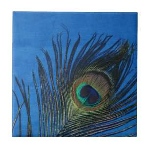 Peacock Still Life with Blue Tile