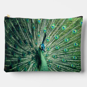 Peacock Strut  Accessory Pouch