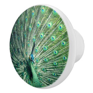 Peacock Strut Ceramic Knob