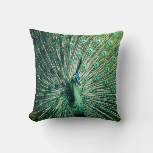 Peacock Strut  Cushion