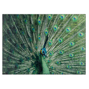 Peacock Strut  Cutting Board