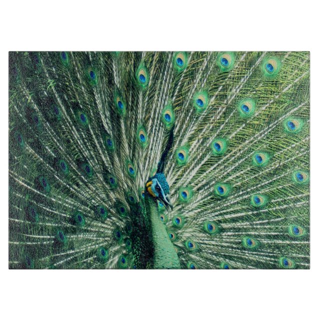 Peacock Strut  Cutting Board (Front)