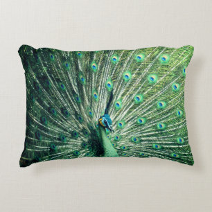 Peacock Strut  Decorative Cushion
