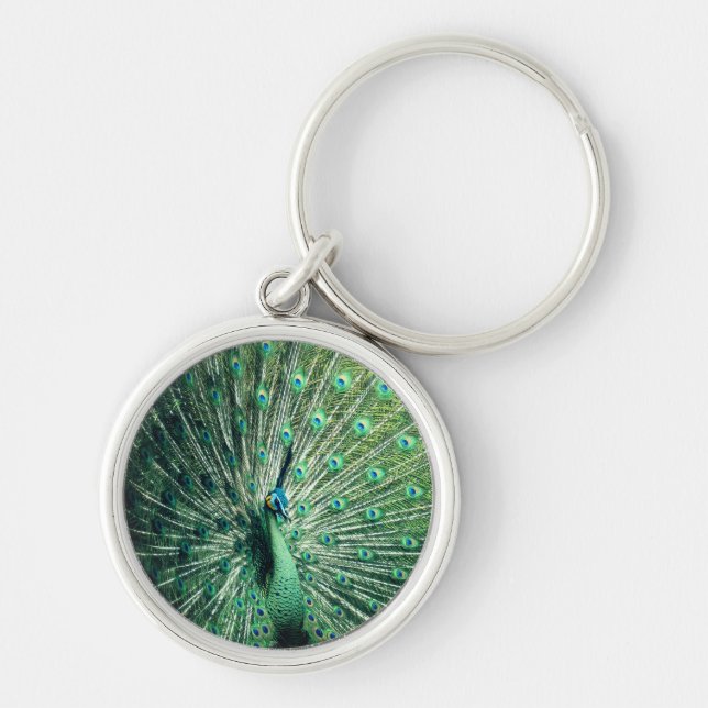 Peacock Strut  Key Ring (Front)