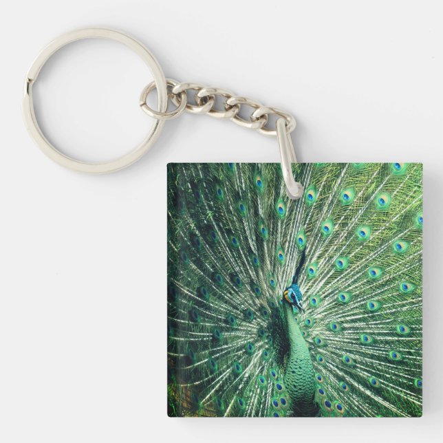 Peacock Strut  Key Ring (Front)
