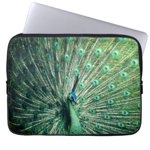 Peacock Strut  Laptop Sleeve