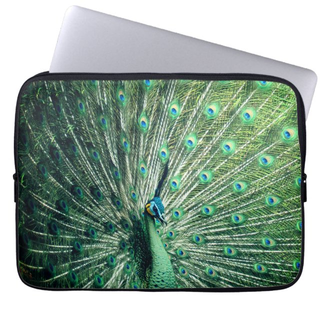 Peacock Strut  Laptop Sleeve (Front)