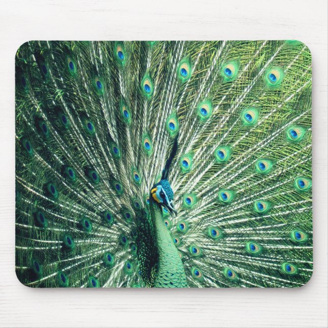 Peacock Strut  Mouse Mat (Front)