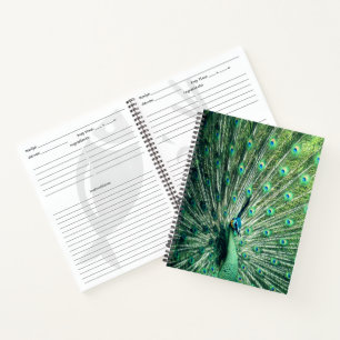 Peacock Strut  Notebook