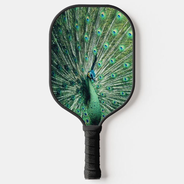 Peacock Strut  Pickleball Paddle (Front)