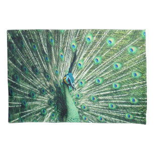 Peacock Strut  Pillowcase