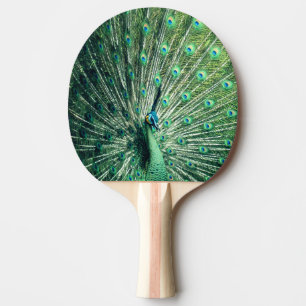 Peacock Strut Ping Pong Paddle