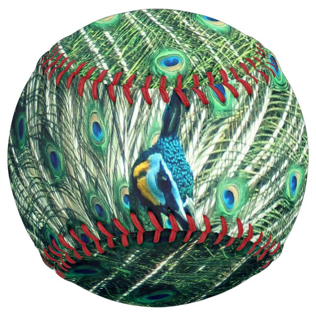 Peacock Strut  Softball (Front)