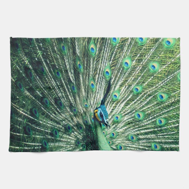 Peacock Strut  Tea Towel (Horizontal)