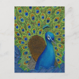 Peacock, Strut Your Feathers Postcard