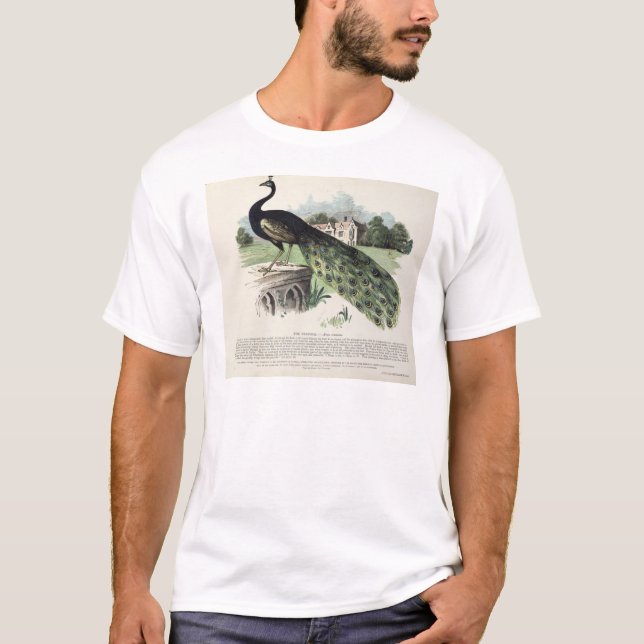 Peacock T-Shirt (Front)