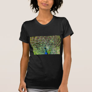 Peacock T-Shirt