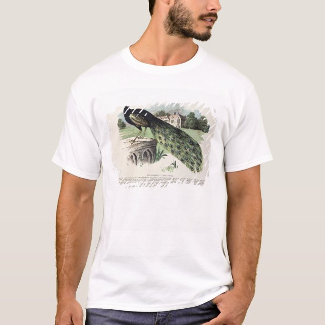Peacock T-Shirt (Front)