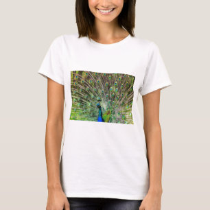 Peacock T-Shirt