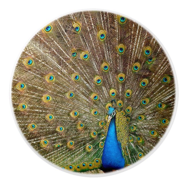 Peacock Tail Feathers Ceramic Knob (Front)