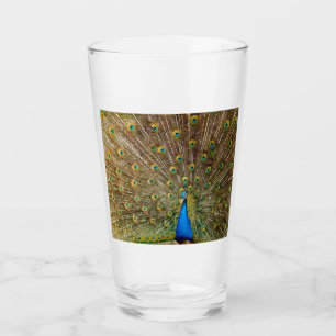 Peacock Tail Feathers Glass
