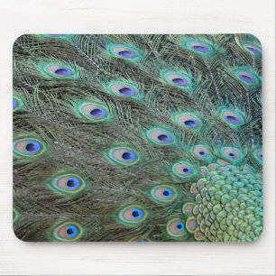 Peacock tail feathers mouse mat