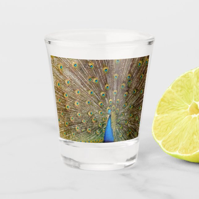Peacock Tail Feathers Shot Glass (Front)