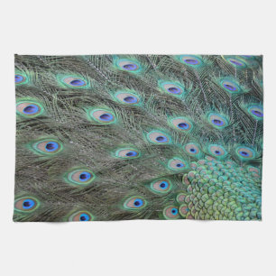 Peacock tail feathers tea towel