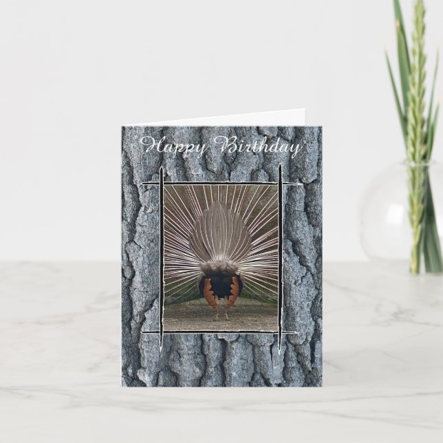 PEACOCK TAIL TREE BARK HAPPY BIRTHDAY CARD (Front)