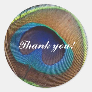 Peacock Thank You Sticker