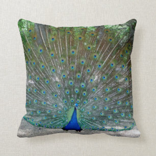 Peacock Throw pillow