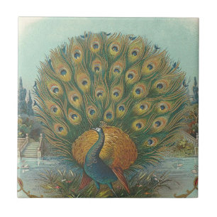Peacock Tile