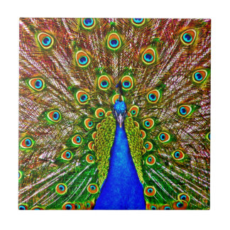 Peacock Tile