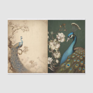 Peacock Tissue Page Tissue Paper