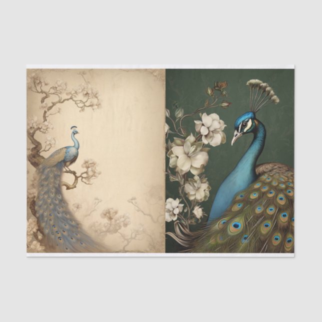 Peacock Tissue Page Tissue Paper (Front)