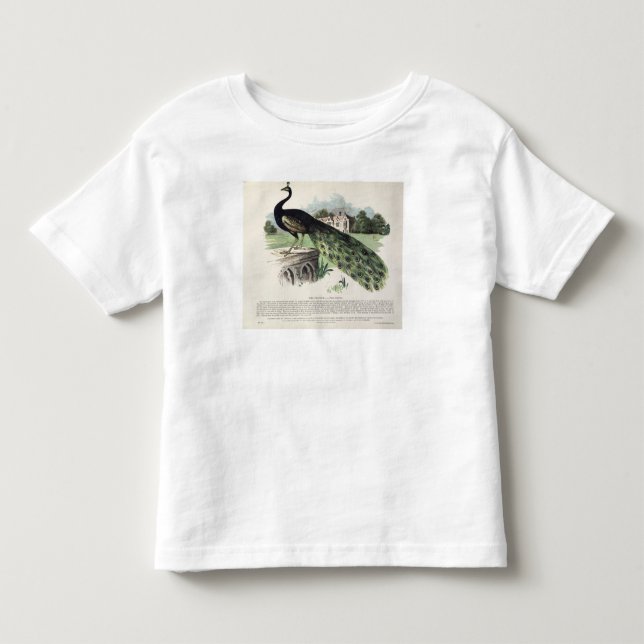 Peacock Toddler T-Shirt (Front)