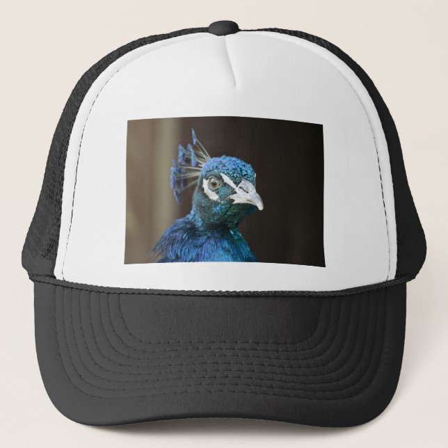 peacock trucker hat (Front)