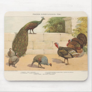 Peacock,Turkey, & Guinea Fowl Mouse Mat