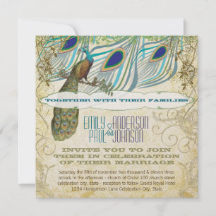 Peacock Vintage 3 Feathers with Peacock Invitation