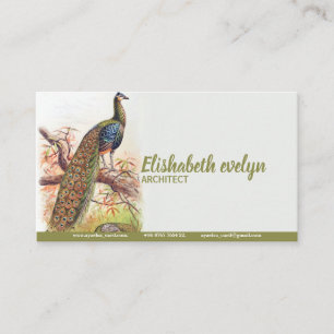 Peacock Vintage Art Old Business Card